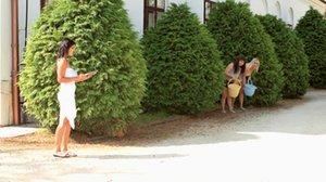 Score Land 2 pleased to share with you a free photo gallery with Jasmine Black, Kristy Klenot and Melissa Mandlikova in some lesbian fun